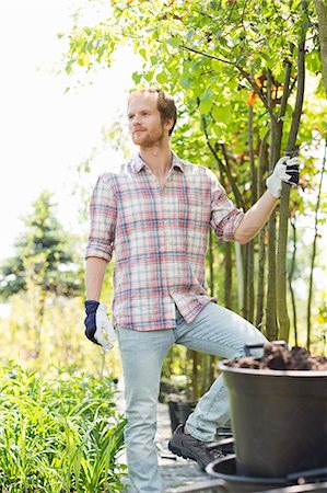 simsearch:693-07912926,k - Male gardener looking away while standing at plant nursery Stockbilder - Premium RF Lizenzfrei, Bildnummer: 693-07912891