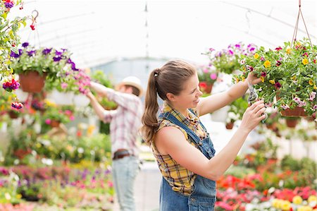simsearch:693-06121284,k - Female gardener trimming plants with colleague in background at greenhouse Stock Photo - Premium Royalty-Free, Code: 693-07912905