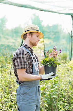 simsearch:6102-03905363,k - Gardener examining flower pot at greenhouse Stock Photo - Premium Royalty-Free, Code: 693-07912924