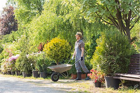 simsearch:693-07912926,k - Man pushing wheelbarrow at garden Foto de stock - Sin royalties Premium, Código: 693-07912929