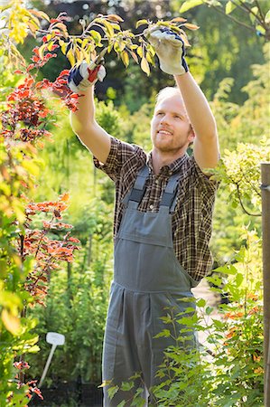 simsearch:693-07912926,k - Man clipping branch at plant nursery Foto de stock - Sin royalties Premium, Código: 693-07912940