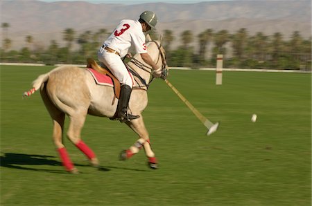 polo sport - Polo Player leaning down from polo pony, Advancing Ball on polo field during match, side view Stock Photo - Premium Royalty-Free, Code: 693-03299761