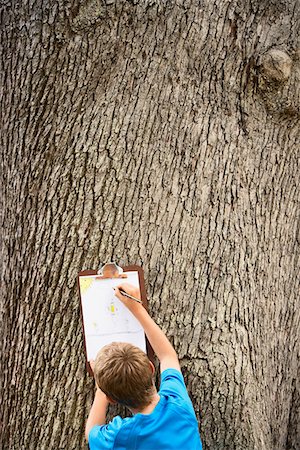 Boy Drawing by Tree Stock Photo - Premium Royalty-Free, Code: 693-03304334