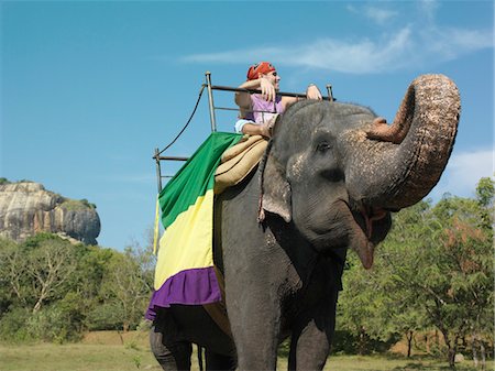 sri lanka nature photography - Young woman riding on elephant, trees in background Stock Photo - Premium Royalty-Free, Code: 693-03307500