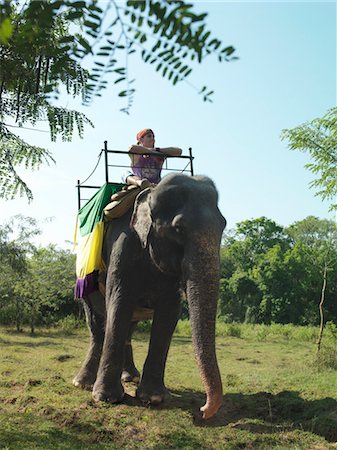 simsearch:693-03307574,k - Young woman riding elephant, leaning, looking at view Stock Photo - Premium Royalty-Free, Code: 693-03307501