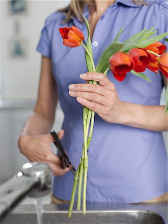 Mid-adult woman rinsing and cutting flowers in kitchen sink, mid section Stock Photo - Premium Royalty-Free, Code: 693-03307615