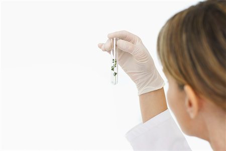 plant inside a test tube - Scientist looking at plants in test tube indoors, focus on hand and test tube Stock Photo - Premium Royalty-Free, Code: 693-03308018