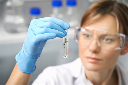 plant inside a test tube - Scientist examining plant in test tube in laboratory, focus on test tube Stock Photo - Premium Royalty-Free, Code: 693-03308035