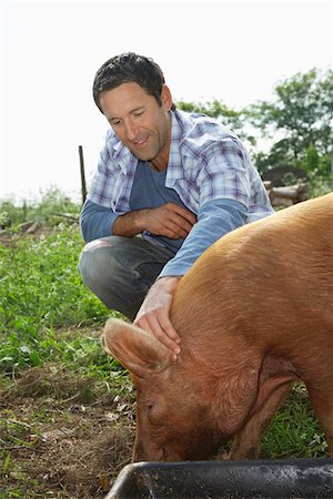 porcile - Man holding pig in sty Fotografie stock - Premium Royalty-Free, Codice: 693-03308427