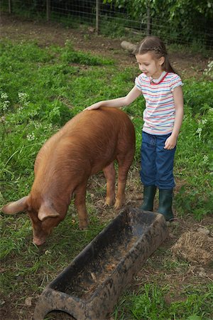 Girl (5-6) stroking pig in sty Foto de stock - Sin royalties Premium, Código: 693-03308428