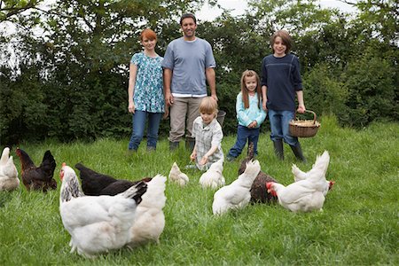 farm girl jeans - Parents with three children (5-9) feeding hens in garden Stock Photo - Premium Royalty-Free, Code: 693-03308476