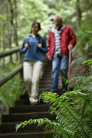 Middle-aged woman and senior man on trail in forest, focus on fern in foreground Foto de stock - Sin royalties Premium, Código: 693-03308977