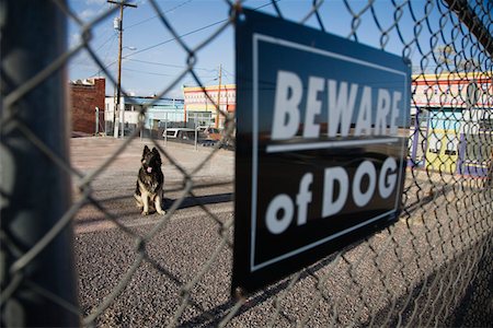 Chien de garde derrière « Beware of dog » signe sur la clôture Photographie de stock - Premium Libres de Droits, Code: 693-03309484