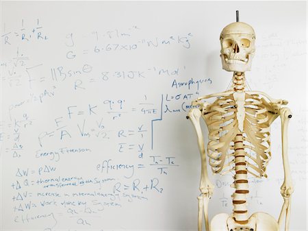 Skeleton in front of whiteboard Stock Photo - Premium Royalty-Free, Code: 693-03300758