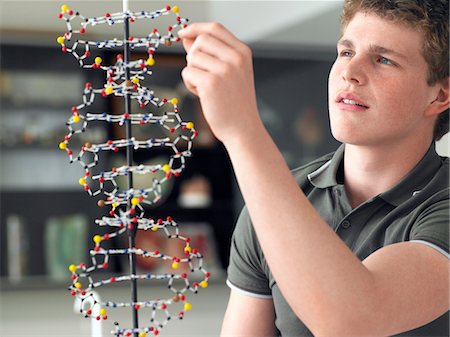 Teenage boy working on DNA model in science class Stock Photo - Premium Royalty-Free, Code: 693-03300781