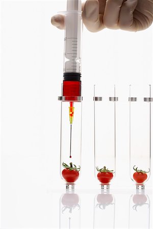 Person injecting tomatoes in test tubes Stock Photo - Premium Royalty-Free, Code: 693-03302191