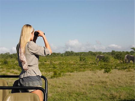 elephant standing on person - Young woman on safari, standing in jeep, looking through binoculars at elephants, back view Foto de stock - Sin royalties Premium, Código: 693-03303998