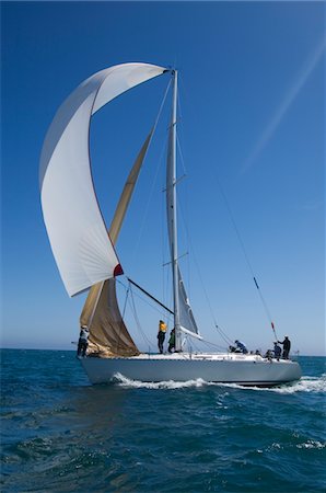 simsearch:693-03314266,k - Yacht competes in team sailing event, California Fotografie stock - Premium Royalty-Free, Codice: 693-03314281