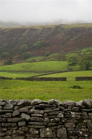 simsearch:693-03315199,k - Fields in Yorkshire Dales, Yorkshire, England Stock Photo - Premium Royalty-Free, Code: 693-03315198