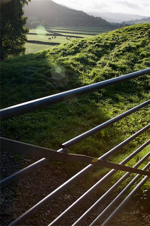 Metal gate on field, Yorkshire Dales, Yorkshire, England Stock Photo - Premium Royalty-Free, Code: 693-03315211