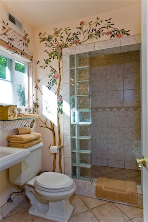 plant bathroom - Showcase interior Stock Photo - Premium Royalty-Free, Code: 693-03316042