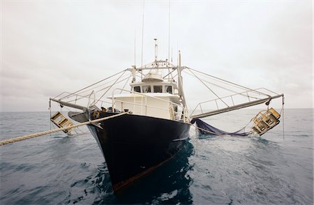 Chalutier de pêche de la crevette, le golfe de Carpentarie en Australie Photographie de stock - Premium Libres de Droits, Code: 693-03310269