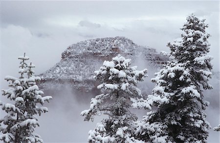 USA, Arizona, Grand Canyon, North Rim in snow Stock Photo - Premium Royalty-Free, Code: 693-03311408