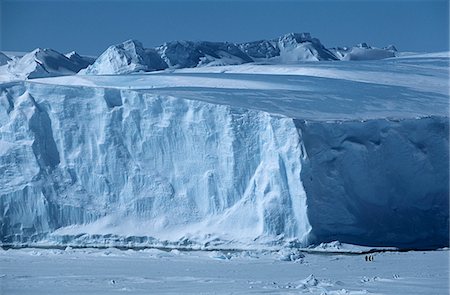 riiser-larsen - Antarctica, Weddell Sea, Riiser Larsen Ice Shelf, Iceberg with Emperor Penguins Foto de stock - Sin royalties Premium, Código: 693-03311413