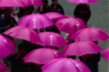 Kapan, Nikko, Tosho-gu Shinto shrine, People under purple umbrellas, elevated view Foto de stock - Sin royalties Premium, Código: 693-03312597