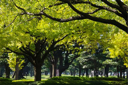 Japan, Tokyo, Marunouchi business district, park Stock Photo - Premium Royalty-Free, Code: 693-03312591