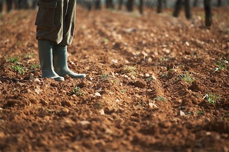 Man in galoshes standing on brown soil, low section Stock Photo - Premium Royalty-Free, Code: 693-03312677