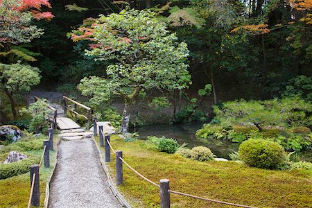 simsearch:693-03312841,k - Japan, Kyoto, Tenju-an Temple garden with footpath and bridge Fotografie stock - Premium Royalty-Free, Codice: 693-03312844