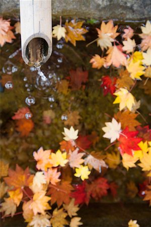 Water running from bamboo pipe with autumn leaves on water surface Fotografie stock - Premium Royalty-Free, Codice: 693-03312847