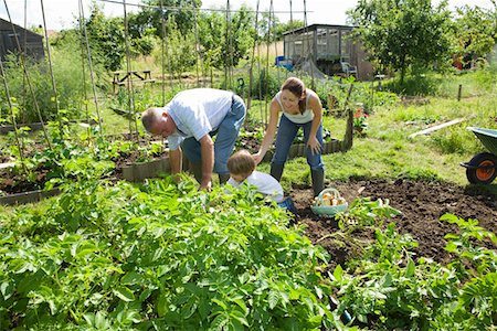 Family with boy gardening Stock Photo - Premium Royalty-Free, Code: 693-03312890