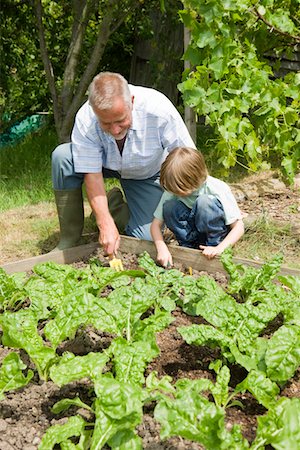 Boy gardening with grandfather Stock Photo - Premium Royalty-Free, Code: 693-03312919