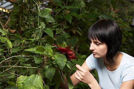 Woman Examining Leaf Foto de stock - Sin royalties Premium, Código: 693-03313173