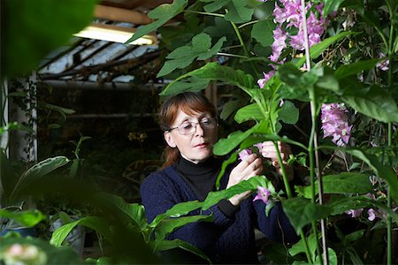 sunroom - Femme examinant les fleurs Photographie de stock - Premium Libres de Droits, Code: 693-03313223