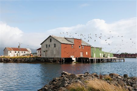 Volée d'oiseaux et une remise à bateaux sur les îles Lofoten, Norvège Photographie de stock - Premium Libres de Droits, Code: 693-03474147