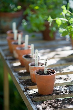 english garden not people - Terracotta flowerpots with labels on workbench in potting shed Stock Photo - Premium Royalty-Free, Code: 693-03617098