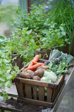 potatoes garden - Wooden crate of fresh vegetables Stock Photo - Premium Royalty-Free, Code: 693-03617102