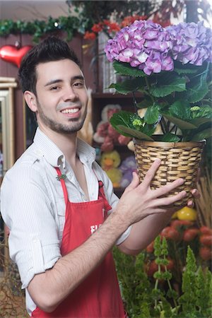 florist (männlich) - Florist steht mit Hortensie Stockbilder - Premium RF Lizenzfrei, Bildnummer: 693-03782732