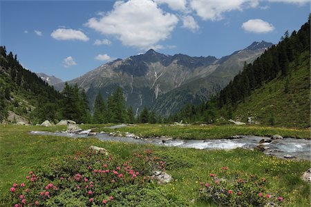 Tiefental Valley,Austria,Tirol,Kaunergrat Foto de stock - Sin royalties Premium, Código: 693-03783135