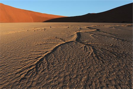 Dead Vlei, désert de Namib, en Namibie Photographie de stock - Premium Libres de Droits, Code: 693-03783145