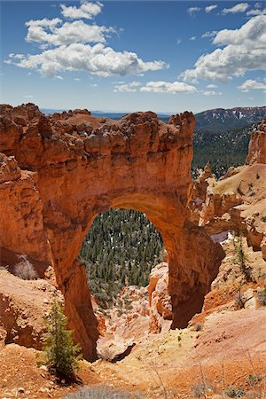 Natural Stone Arch, Bryce Canyon National Park, Utah, USA Stock Photo - Rights-Managed, Code: 700-04003334