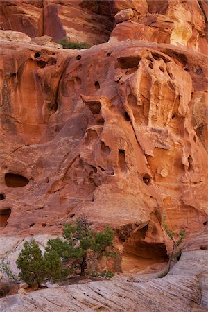 red sandstone - Capitol Reef National Park, Utah, USA Photographie de stock - Rights-Managed, Code: 700-04003341