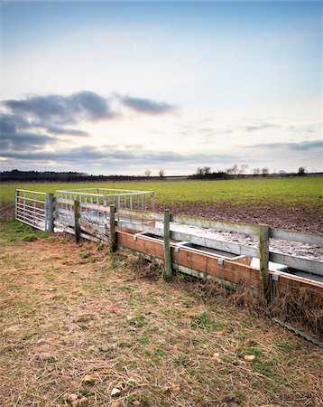 english country farms - Livestock Feeders in Winter, Cotswolds, Gloucestershire, England, United Kingdom Stock Photo - Rights-Managed, Code: 700-04424925