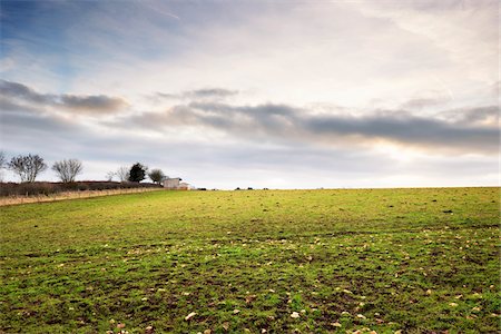 english country farms - Field in Winter, Cotswolds, Gloucestershire, England, United Kingdom Stock Photo - Rights-Managed, Code: 700-04424923