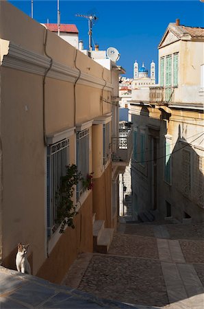 Chat sur la rue raide, Syros, Iles Cyclades, Grèce Photographie de stock - Rights-Managed, Code: 700-04425042