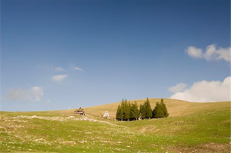 Houses and Trees between Castelluccio di Norcia and Norcia, Province of Perugia, Umbria, Italy Foto de stock - Con derechos protegidos, Código: 700-04929218