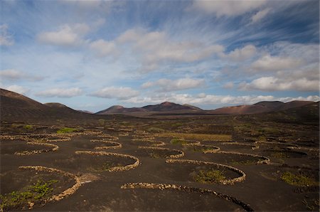 Weinberg bei La Geria, Lanzarote, Kanarische Inseln, Spanien Stockbilder - Lizenzpflichtiges, Bildnummer: 700-04929213